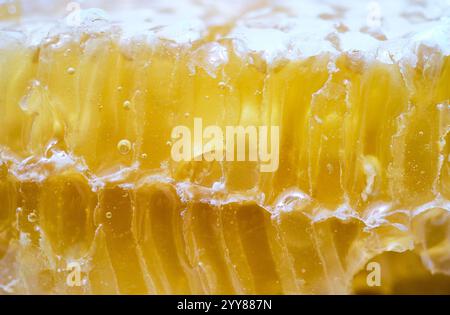 Detailed macro shot of a golden honeycomb, showcasing its natural texture, intricate design, and rich honey-filled cavities. Perfect for nature, food, Stock Photo