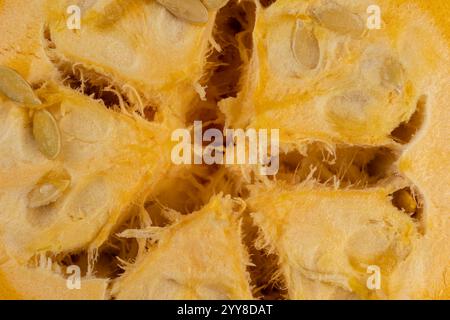 ripe orange pumpkin with seeds cut into pieces, details of the pumpkin part with soft sweet flesh and large seeds Stock Photo