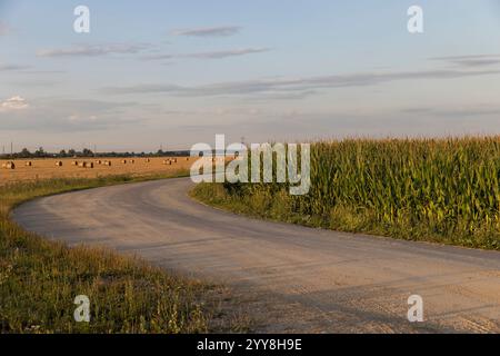 paved road in the summer at sunset , landscape, a country road for transport along the roadsides there are fields Stock Photo