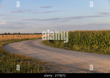 agricultural and road in the summer at sunset, a country road for transport along the roadsides there are agricultural fields, landscape Stock Photo