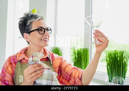 Mature woman in casual style apron cleaning glass in well-lit kitchen interior Stock Photo