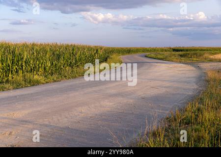 curve paved road in the summer at sunset, a country road for transport along the roadsides there are fields Stock Photo