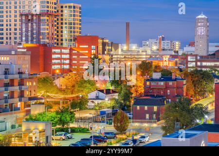 Ann Arbor, Michigan, USA downtown city skyline at night. Stock Photo