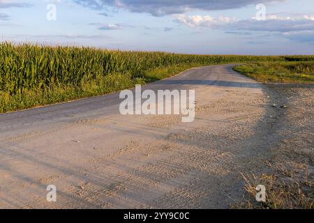 road in the summer at sunset, a country road for transport along the roadsides there are agricultural fields Stock Photo
