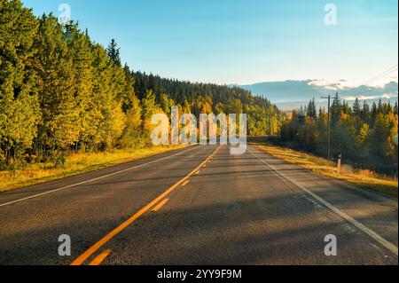 Scenic road trip in autumn forest and asphalt road at Banff national park, Alberta, Canada Stock Photo