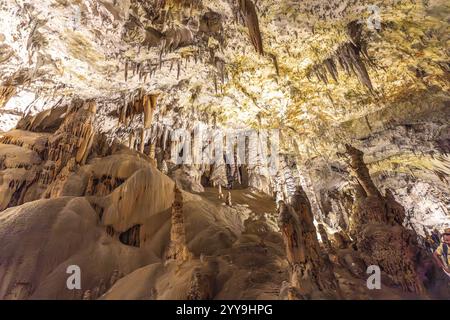 Tourists marveling at stunning stalactites and stalagmites lit by colorful lights inside postojna cave, a renowned slovenian attraction Stock Photo