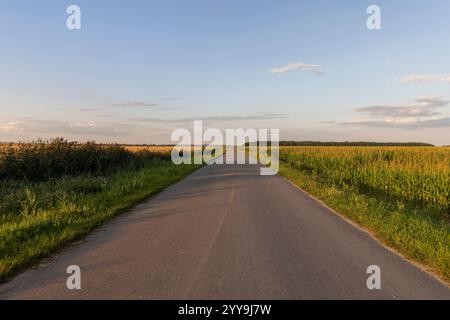 a narrow curve paved road in the summer at sunset, a country road for transport along the roadsides there are fields, landscape Stock Photo