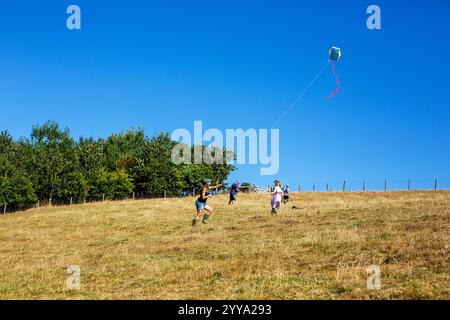 A family out in the countryside flying a kite Stock Photo