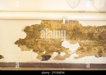 Abstract grunge wall background. Old plastered wall with many cracks. Grungy texture with deep pattern on yellow painted wall. Stock Photo