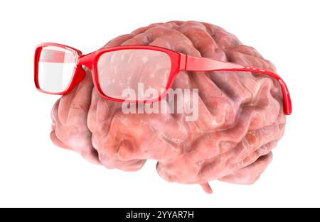 Human Brain with glasses. 3D rendering isolated on white background Stock Photo