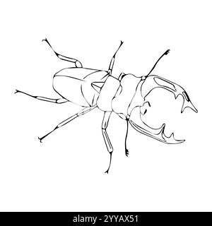 Stag beetle in doodle style. Vector illustration isolated on white background. Stock Vector