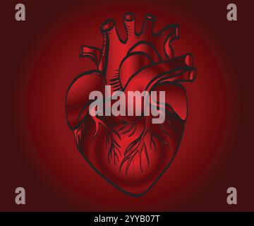 Realistic anatomical red heart beating on dark background Stock Vector