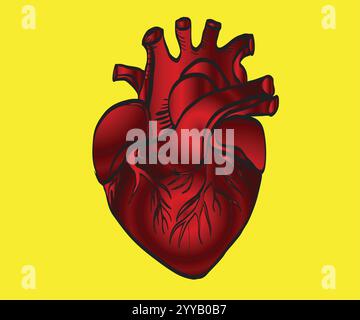 Realistic anatomical red heart beating on dark background Stock Vector