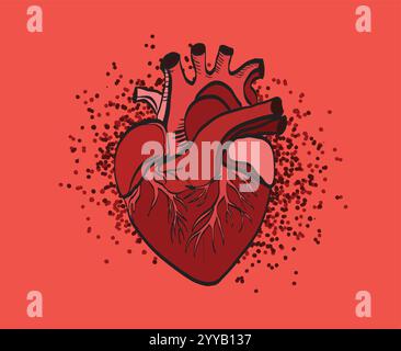 Realistic anatomical red heart beating on dark background Stock Vector