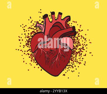 Realistic anatomical red heart beating on dark background Stock Vector