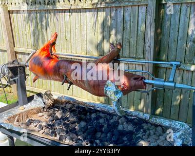 A whole pig is being slowly roasted on a barbecue pit surrounded by greenery on a sunny day. Stock Photo