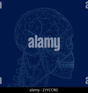 Human scull wireframe. Skull isolated on blue background. Line art outline vector illustration Stock Vector