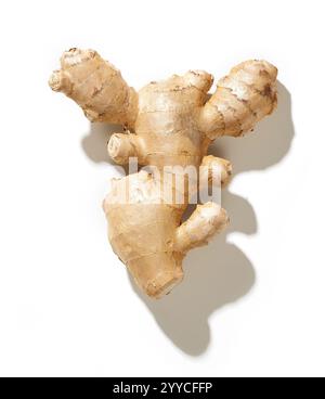 fresh raw ginger isolated on white background, top view Stock Photo