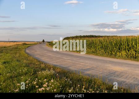 road in the summer at sunset, a country road for transport along the roadsides there are fields Stock Photo