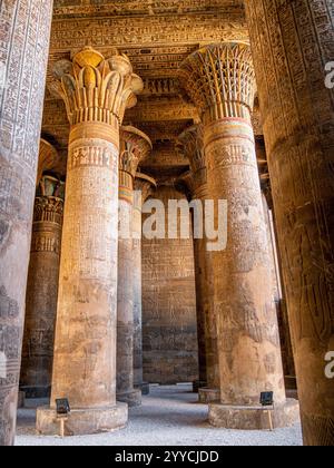 Inside Khnum Temple in Esna, Egypt - Portrait shot Stock Photo