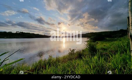 A serene lakeside landscape during sunset, with vibrant green grass in the foreground and calm water reflecting the golden hues of the setting sun. Stock Photo