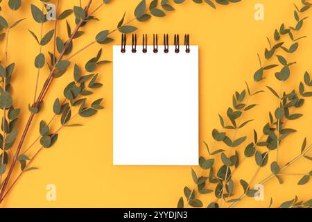 Eucalyptus branches and empty notepad mockup on a yellow background. Stock Photo