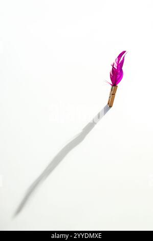 purple feather with a pen on a white background, top view, copy space Stock Photo