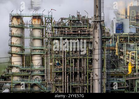 The chemical plants on the white side of the Schwelgern coking plant, which supplies Thyssenkrupp Steel's Schwelgern blast furnace plant on the Rhine Stock Photo