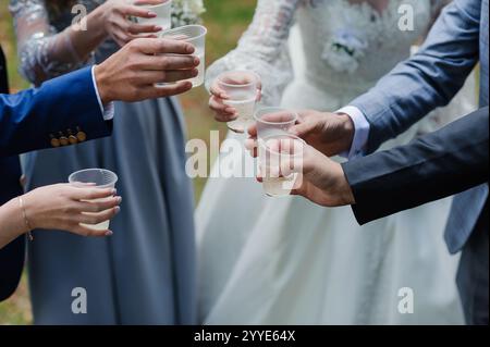 Celebratory Toast Among Friends at a Wedding Reception. Stock Photo