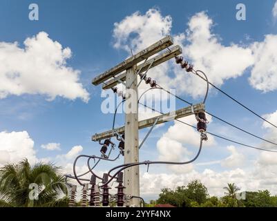 High voltage ceramic insulators on a electricity post. Stock Photo