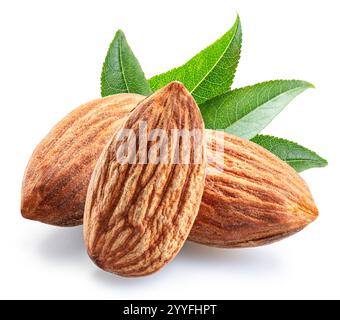 Almond nuts and almond leaves isolated on white background. File contains clipping path. Stock Photo