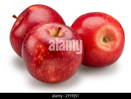 Three ripe red apples on white background. File contains clipping path. Stock Photo