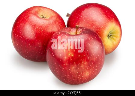 Three ripe red apples on white background. File contains clipping path. Stock Photo