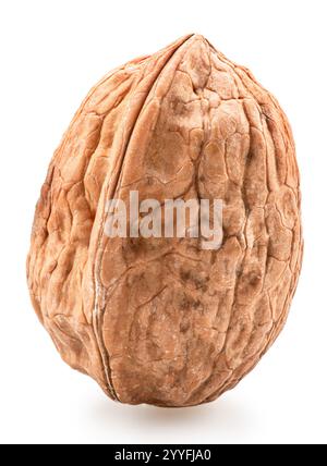 Walnut in shell isolated on white background. File contains clipping path. Stock Photo