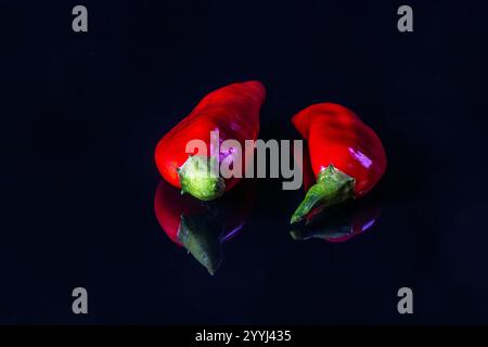 Two freshly harvested red chili peppers , showcasing their rich color and textures against a glossy black background, emphasizing their freshness and Stock Photo