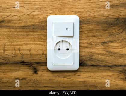Vertical socket block with single-key switch installed in a wooden panel Stock Photo