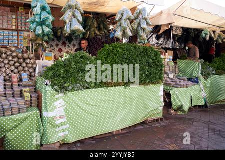 large quantities of fresh herbs and mint for sale at a stall on jemaa el-fna square marrakesh, morocco Stock Photo