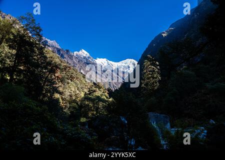 First Glimpse of Himalayan mountains seen during day 3 trek of Lama Hotel to Langtang Village, Nepal Stock Photo