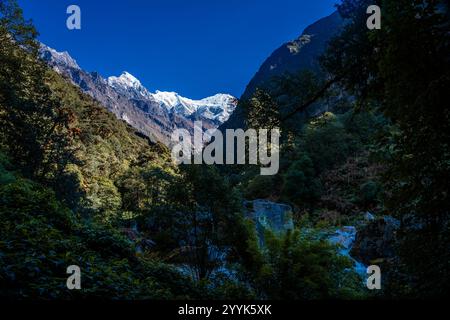 First Glimpse of Himalayan mountains seen during day 3 trek of Lama Hotel to Langtang Village, Nepal Stock Photo