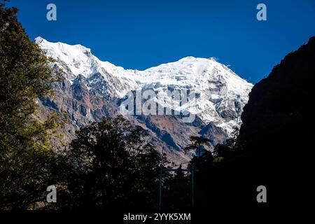 First Glimpse of Himalayan mountains seen during day 3 trek of Lama Hotel to Langtang Village, Nepal Stock Photo