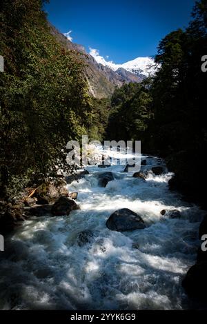 First Glimpse of Himalayan mountains seen during day 3 trek of Lama Hotel to Langtang Village, Nepal Stock Photo