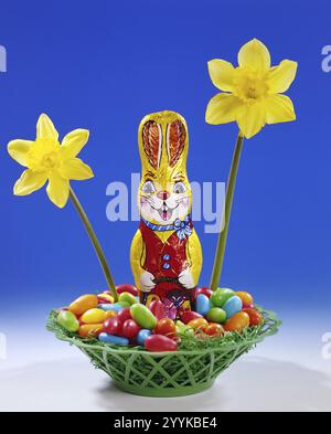 Easter bunny made of chocolate, Easter nest, sweets, colourful eggs, Easter studio photo, Lower Saxony, Federal Republic of Germany Stock Photo