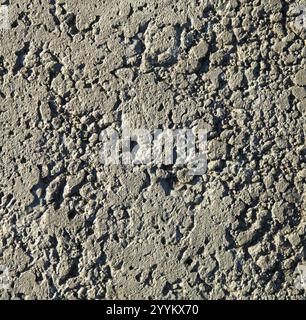 Texture of uneven surface of fresh wet concrete. Gray concrete (cement) wall, background. Rough wall of grey color. Detailed backdrop of concrete Stock Photo