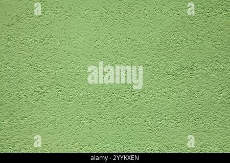Green grainy wall texture, background. Decor of the cement textured coating. Structural silicone plaster, rough, uneven surface in light-green color Stock Photo