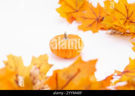 A view of a petite orange pumpkin, surrounded by autumn colored leaves, on a white background. Stock Photo