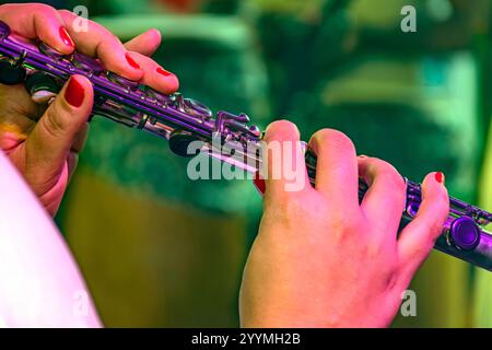 Detail of a woman playing the transverse flute during a musical performance Stock Photo