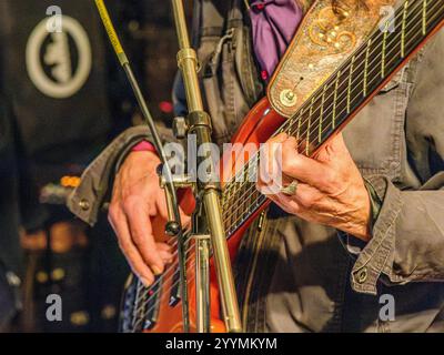 French musician and singer Sacha Gardèr playing a James Trussart electric bass guitar in concert - Boussay, Indre-et-Loire (37), France. Stock Photo