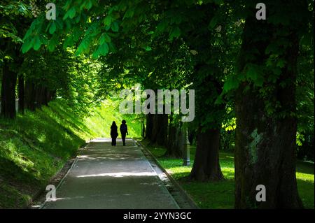 Couple seen from behind, walking in the distance under green trees in a park Stock Photo