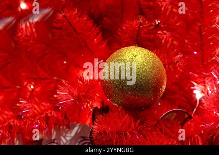 Golden Christmas ball on a red Christmas tree. Stock Photo