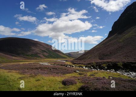 Glen Lee Stock Photo